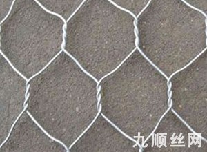 鍍鋅石籠網 (1).jpg